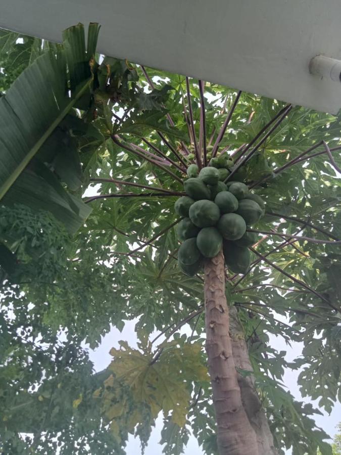 Villa Rosa East Bali Karangasem Eksteriør bilde